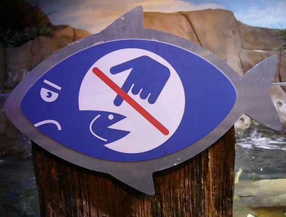 DO NOT SCOLD FISH