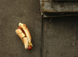 hot dog