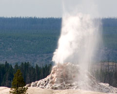 geyser