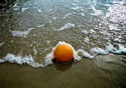oranges