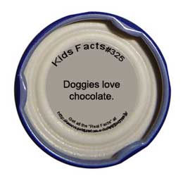 Snapple Fact #322 - Doggies love chocolate