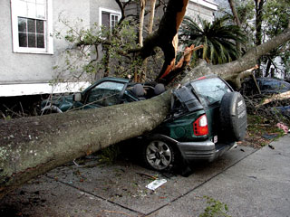 Smashed Car